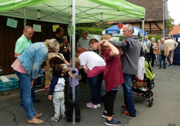August 2016 - Bürgerwald Thiede beim Dorffest